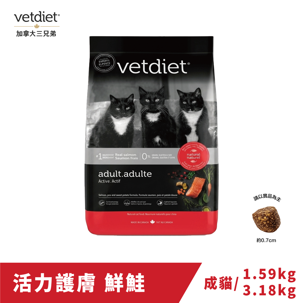 活力貓