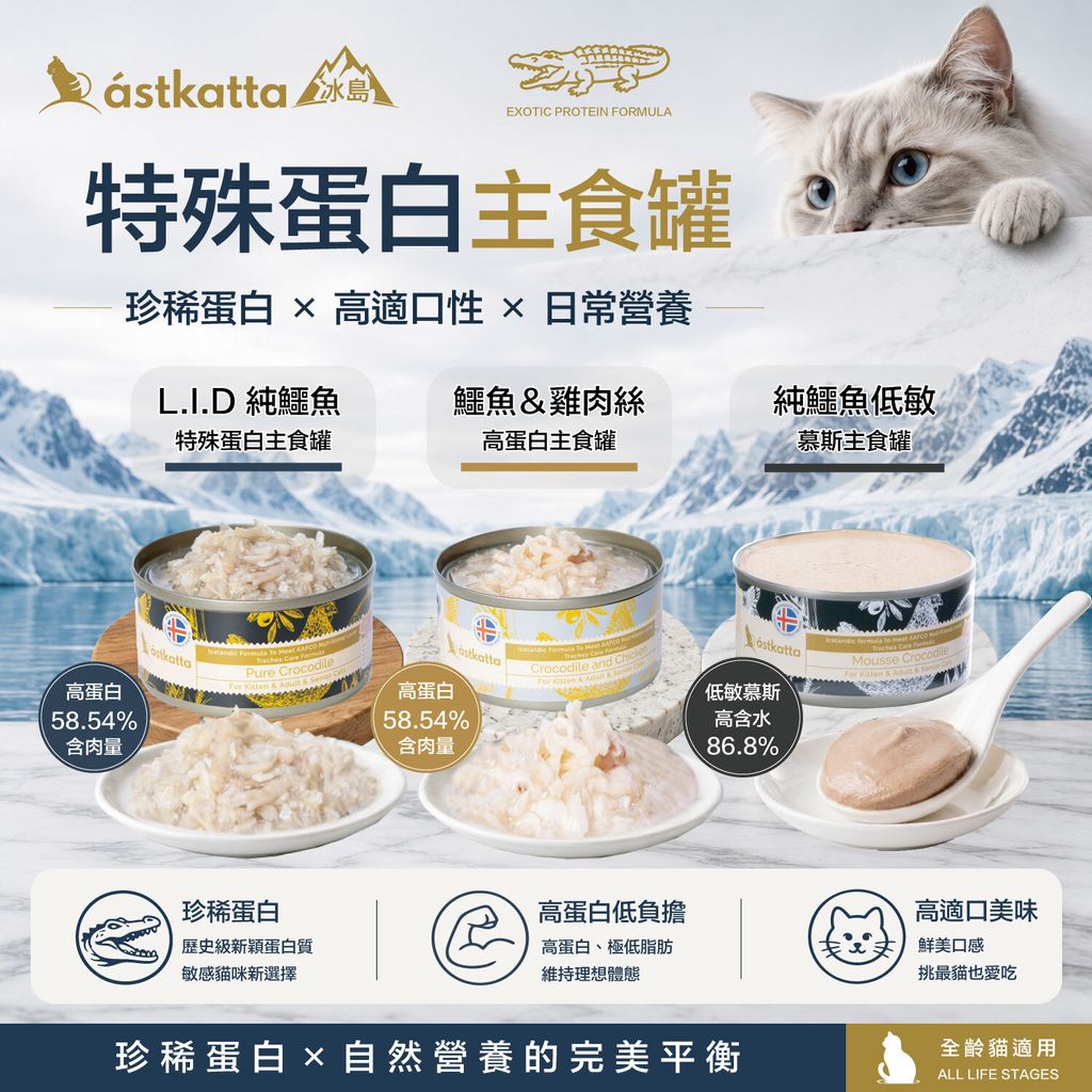 鱷魚罐-商品圖 1500x1500