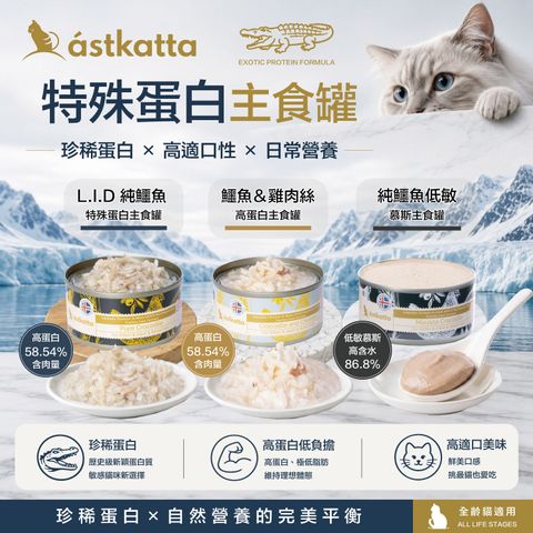 鱷魚罐-商品圖-1500x1500