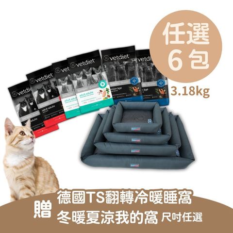 貓大6