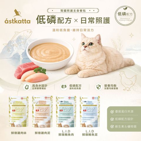 低磷系列1-(20260907修改)