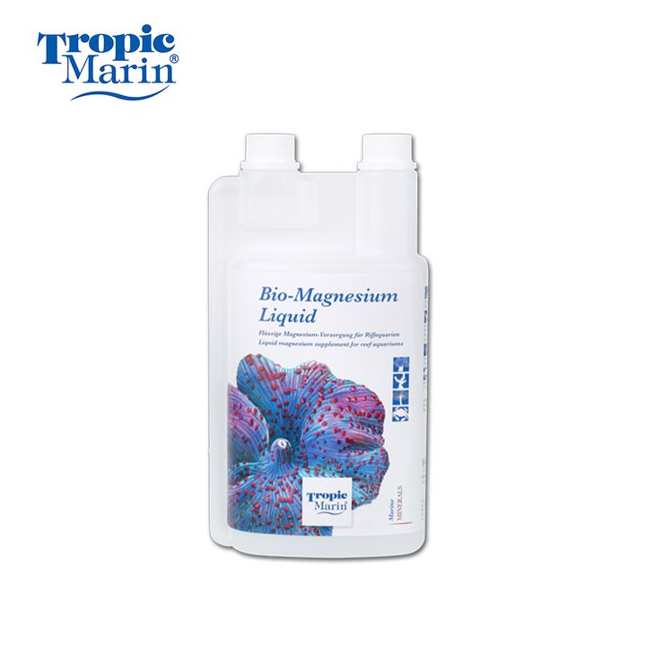 TM027.jpg