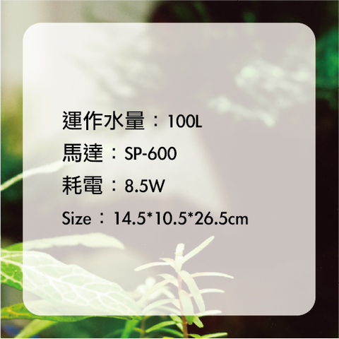 QQ1 外置式蛋白除沫器.png