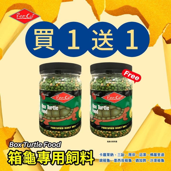 Repcal-箱龜-1080
