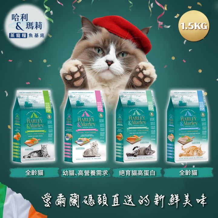 cat01