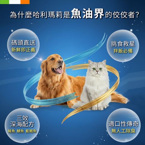 哈利瑪莉_魚油2