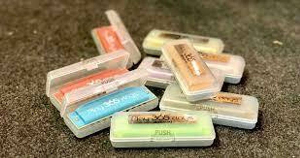 SUZUKI PLAY 365 DAYS HARMONICA.jpg