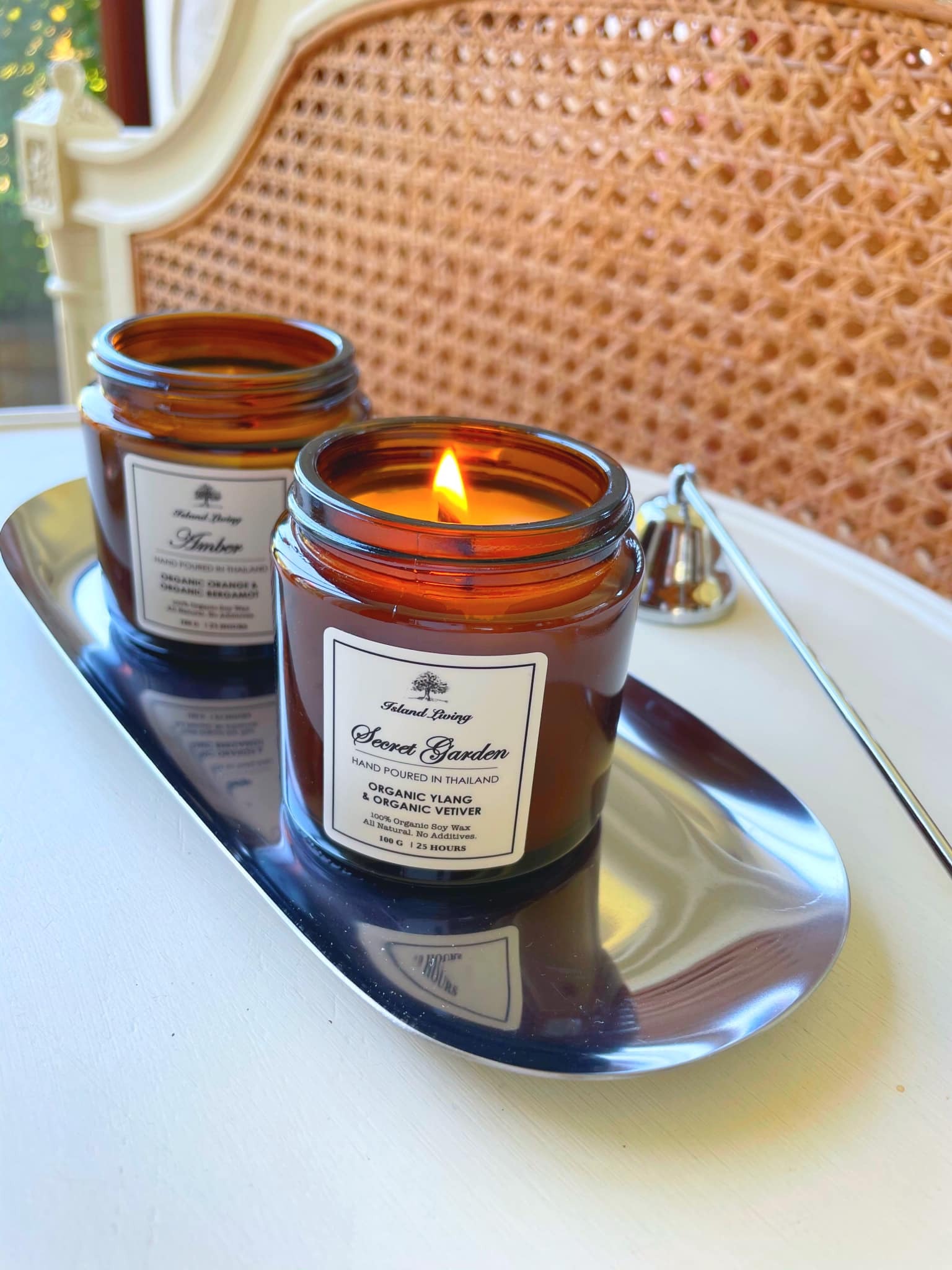 396505565_889618156020796_790478246795969869_n