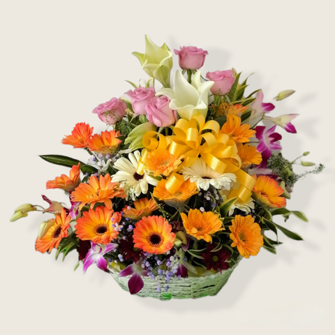 IMG_1650470252392.png