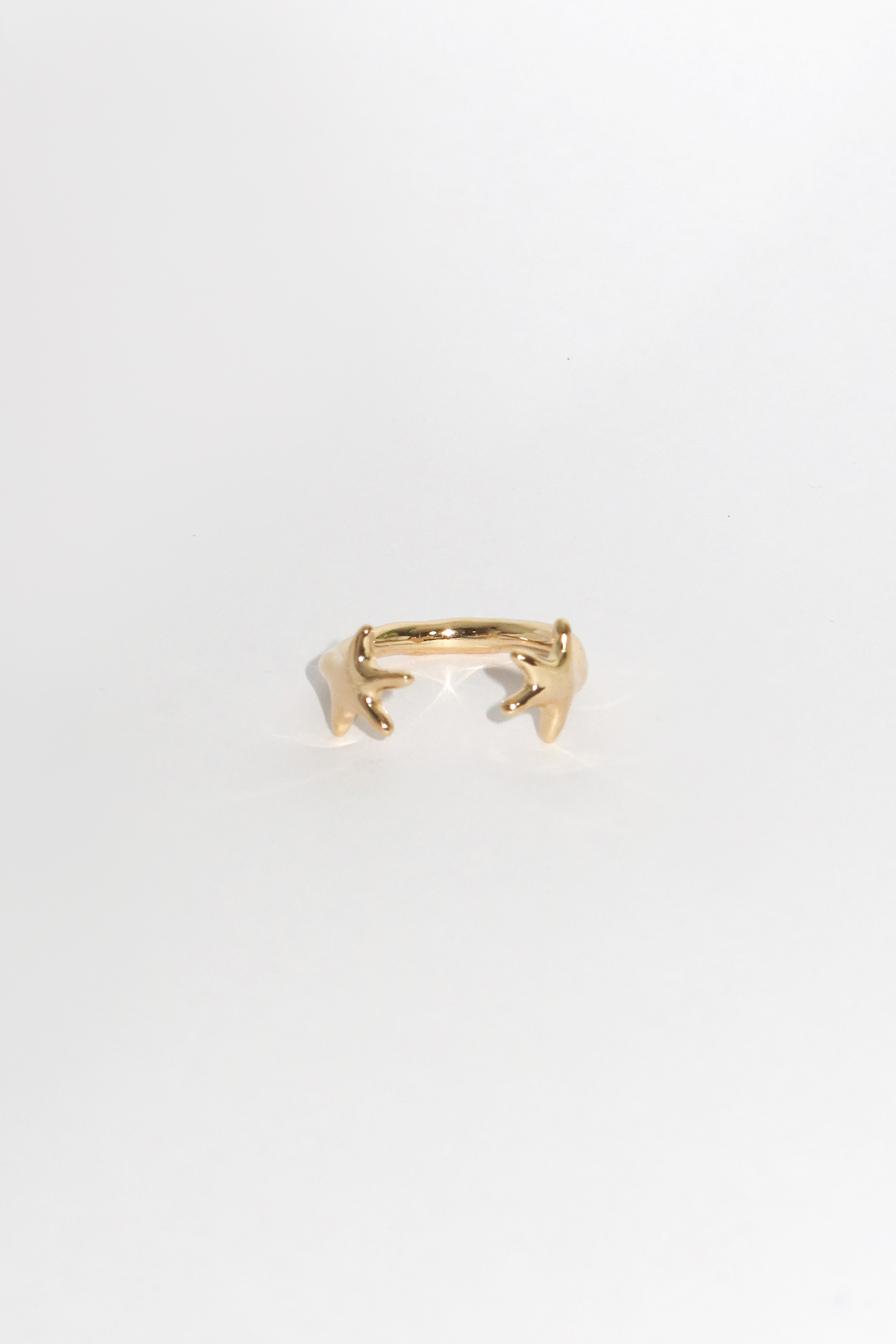 2025 Christmas Ring G02