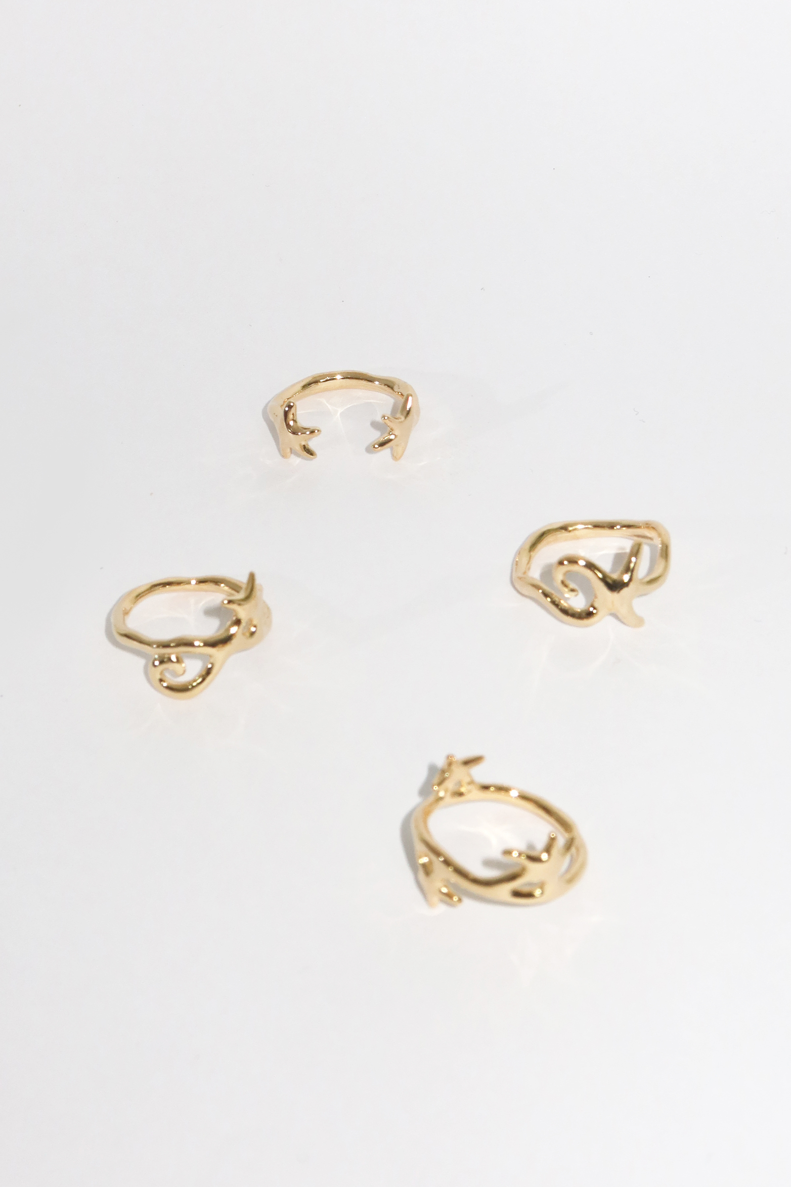 2025 Christmas Ring G all