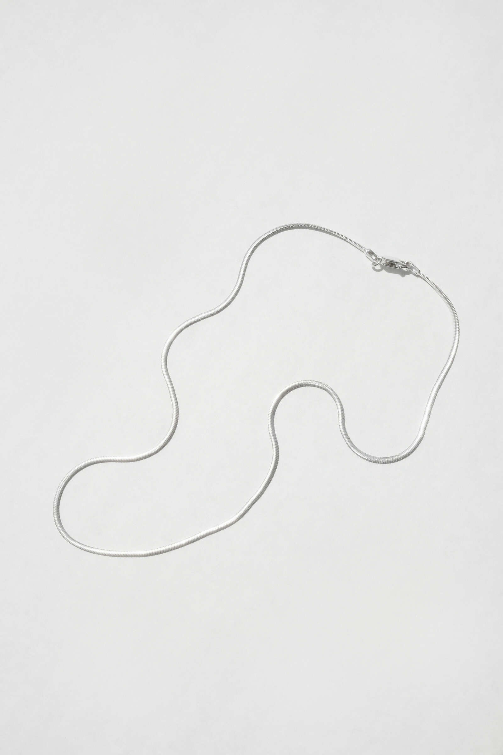 Flat Snake Necklace.jpg