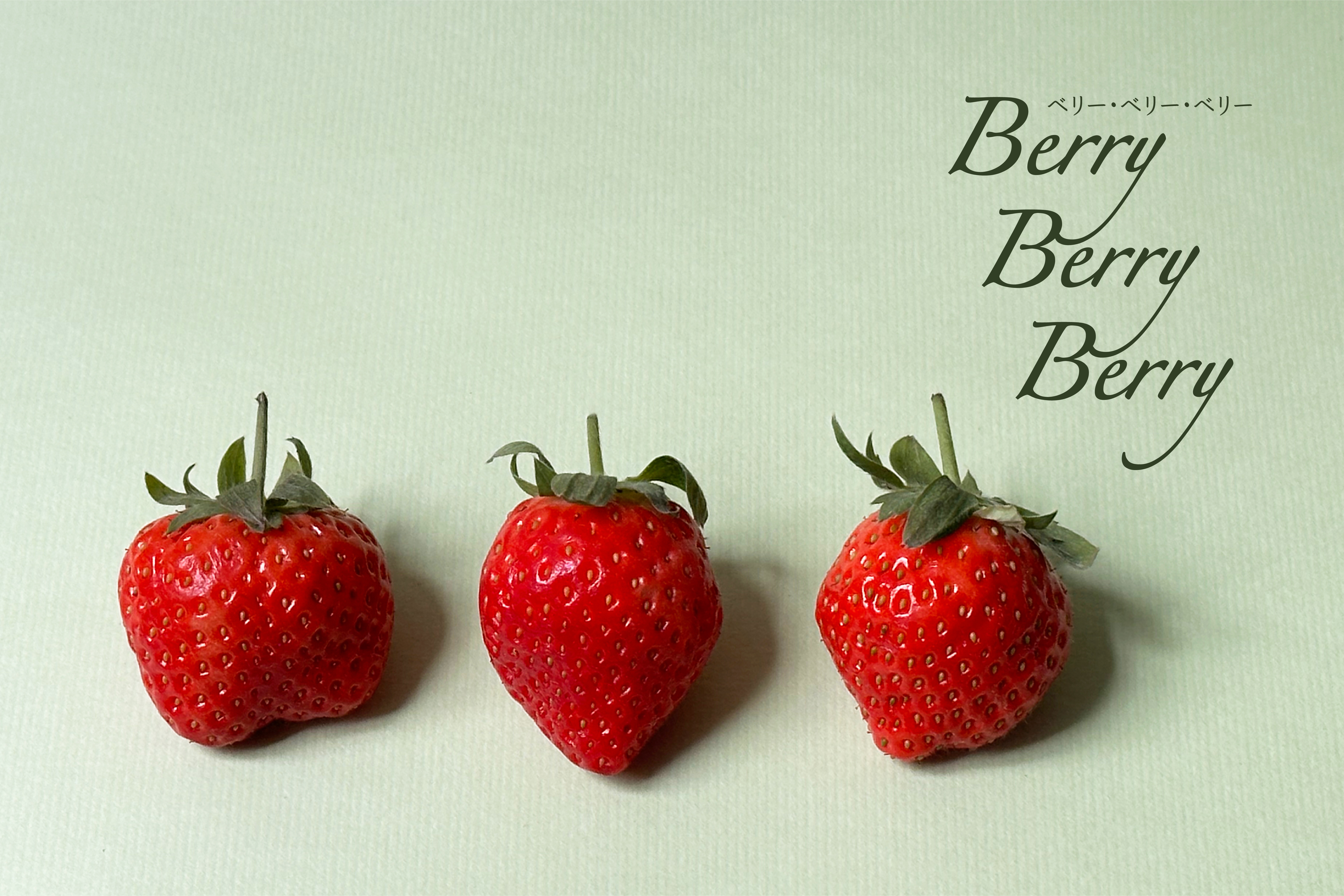 Berry Berry Berry | 烏光物作