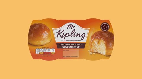 golden-syrup-sponge-puddings-light-colour-background-aug-2024 copy