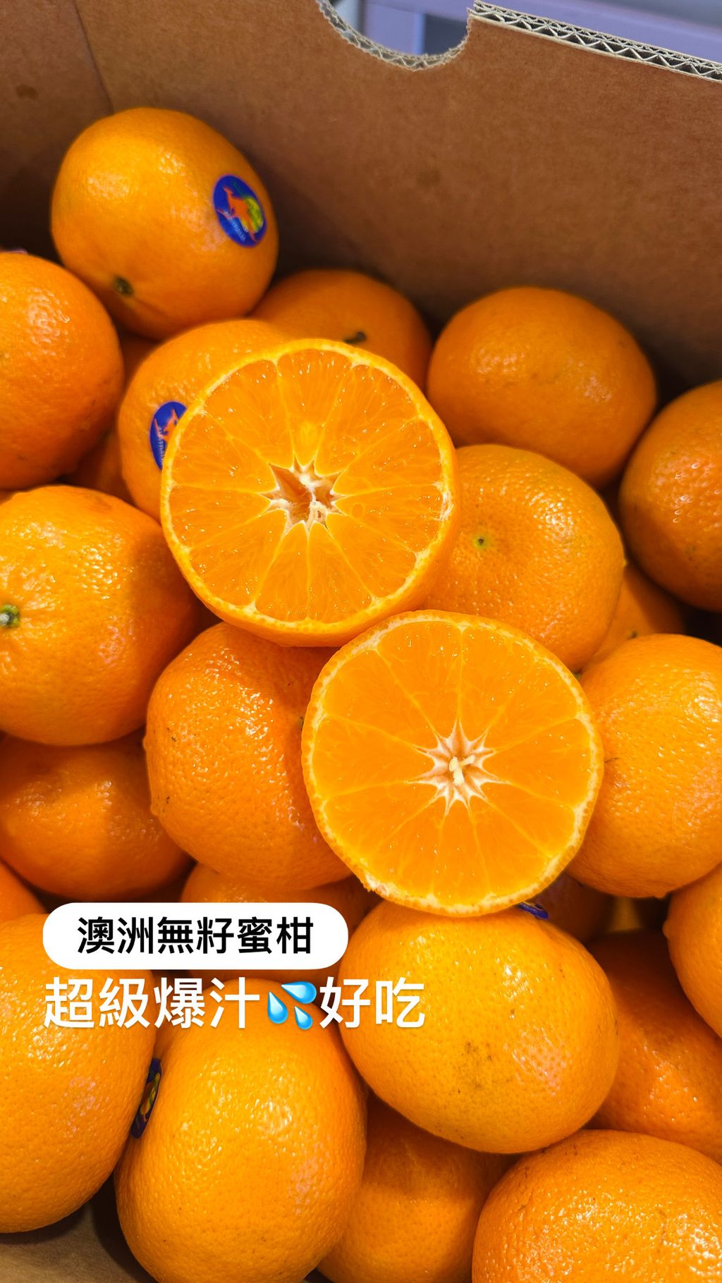 image_D57CE3E8-ACDA-4999-A3FF-8131621341DF_1783925769