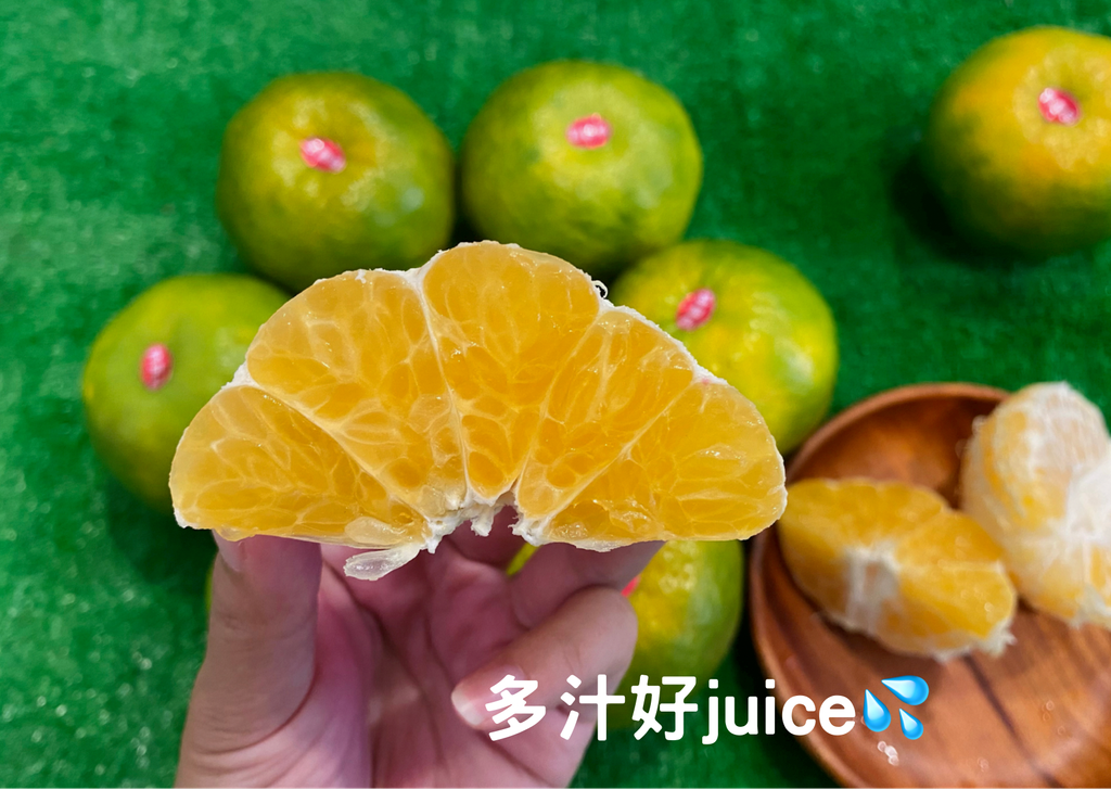 1036F603-E8DD-4241-989B-D7D2586E635F.png