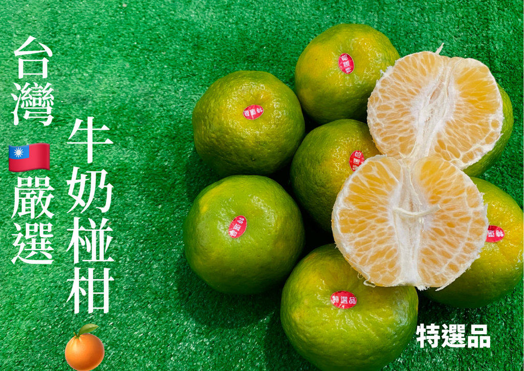 4F04E376-CA89-42A9-B533-79BD32B256F6.png