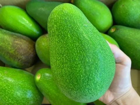 44775173