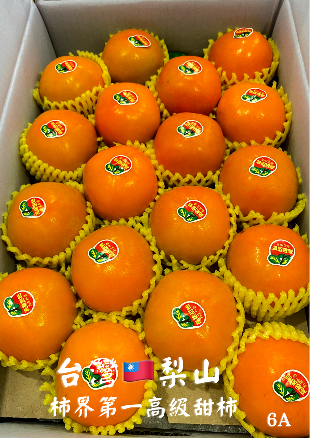 61C8D49C-CF73-44BF-B0D9-13F28CD8E77B.png