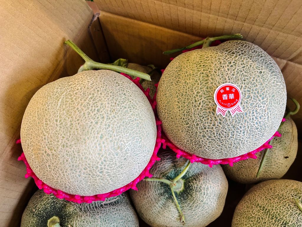 66C0D3EF-E117-4B79-8CE8-4CA9C2EB3136