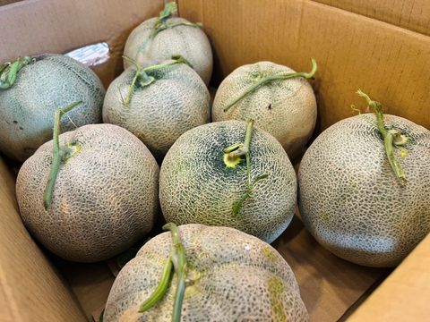 0A23E610-13B7-4F89-A835-E93DA437F2F4