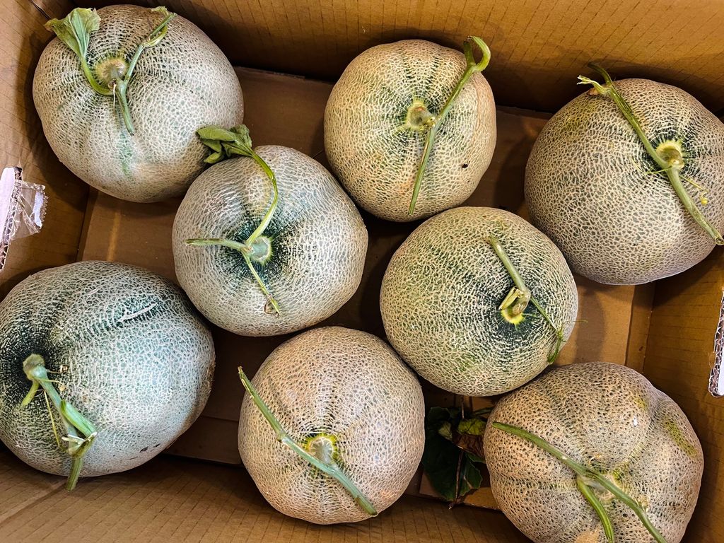 B7E10494-AF5B-4851-8461-0F845FA36AB3