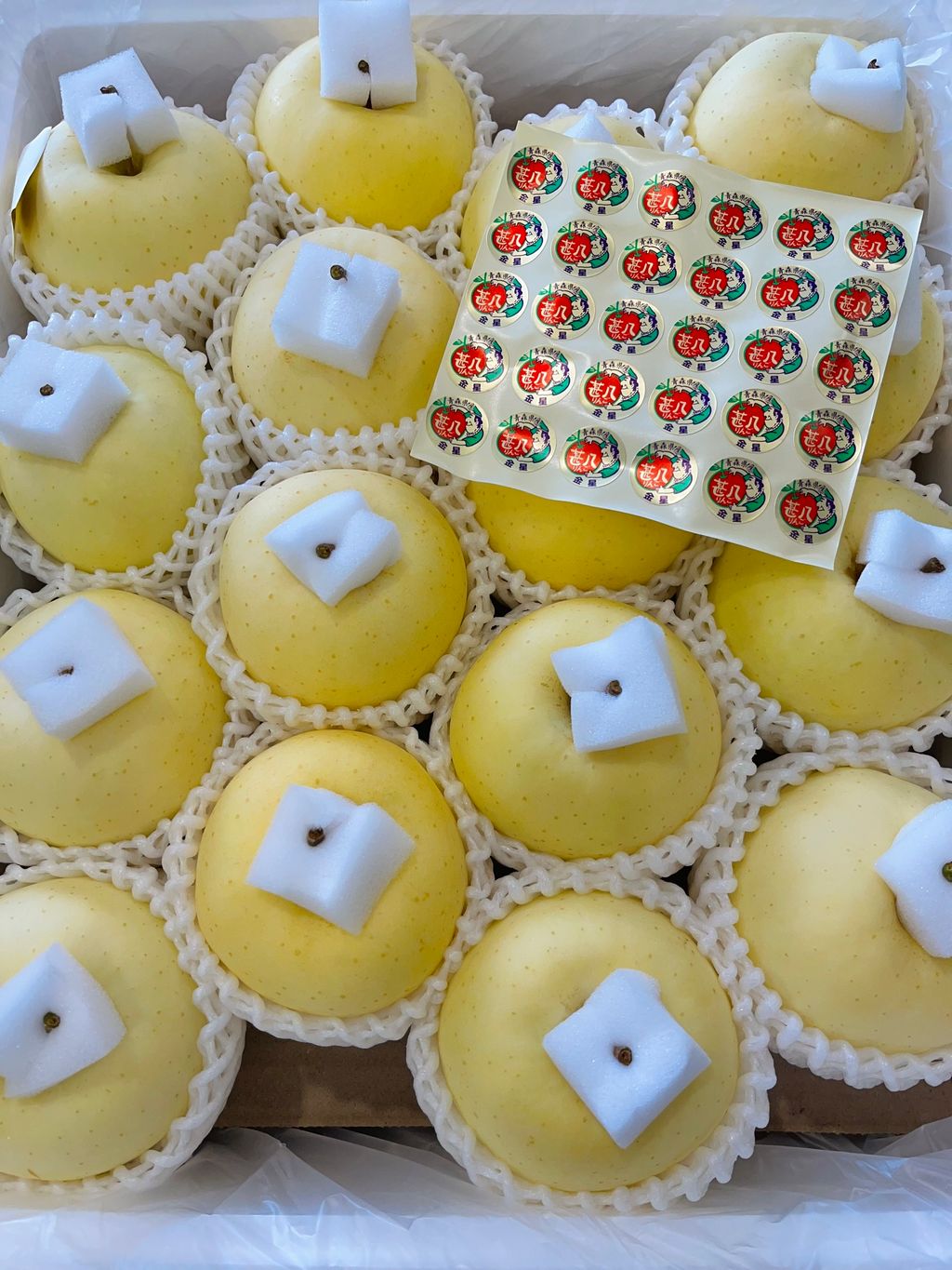 1E737BD1-B162-4339-B8D8-5263ABF1DC35