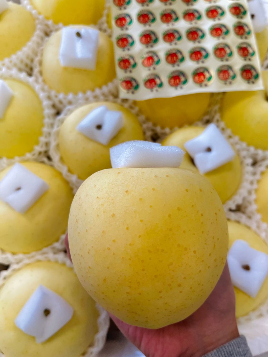 77A2E195-C472-456D-B899-7D25F0BC55DF