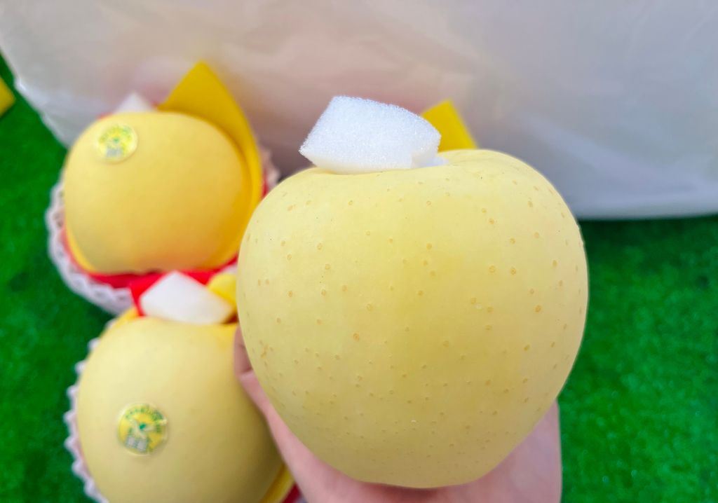 D1B706E7-1E8E-467A-BC4E-067D68E3AF59