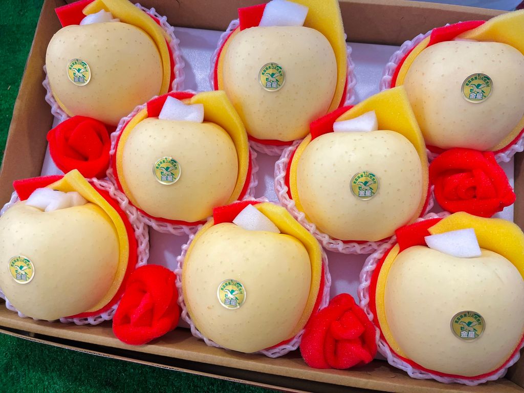 F454463C-ED01-47E5-A449-8B6228F3A710