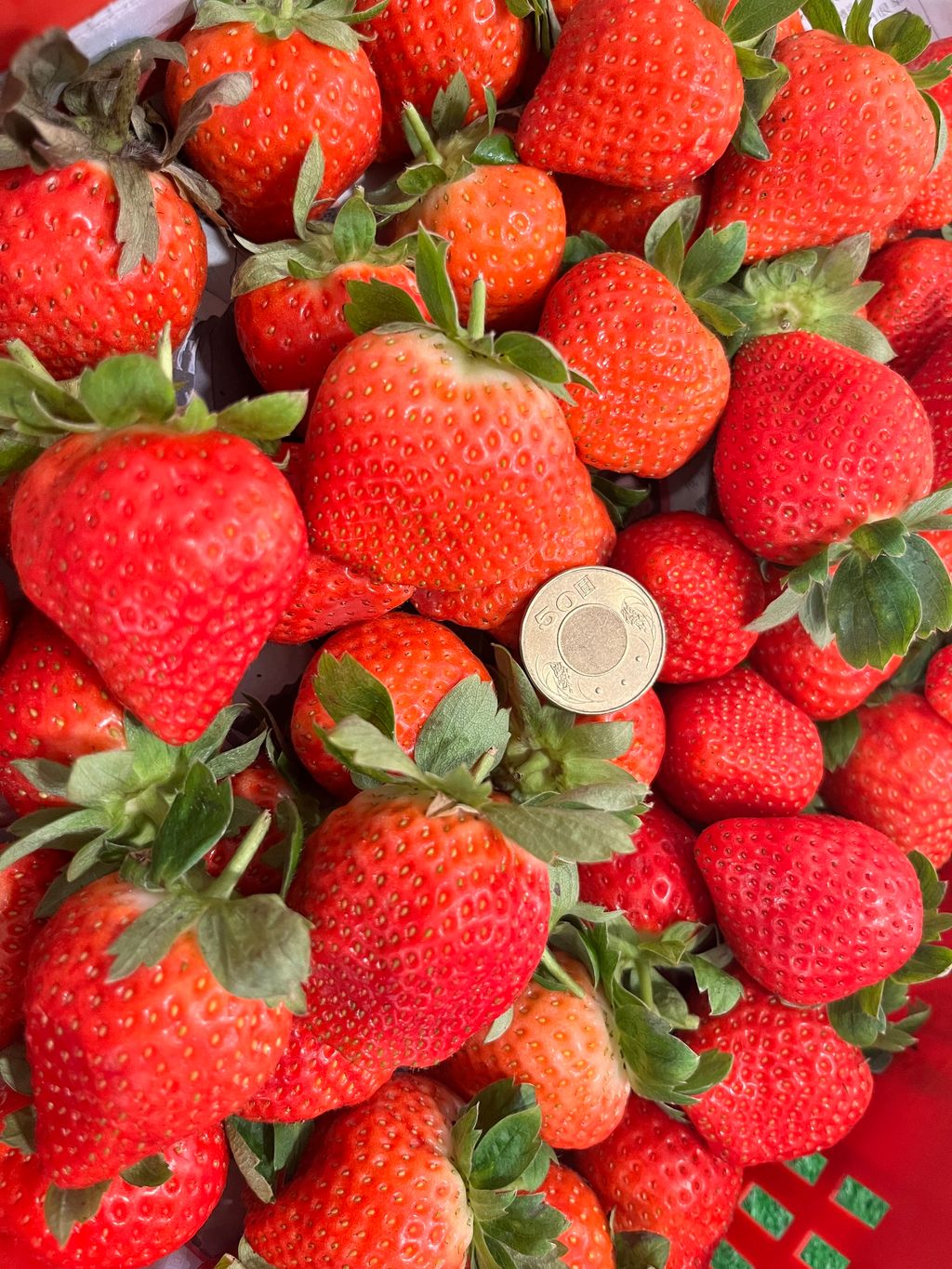 2D1A23CD-2FFB-4097-8C16-316FBED6D876