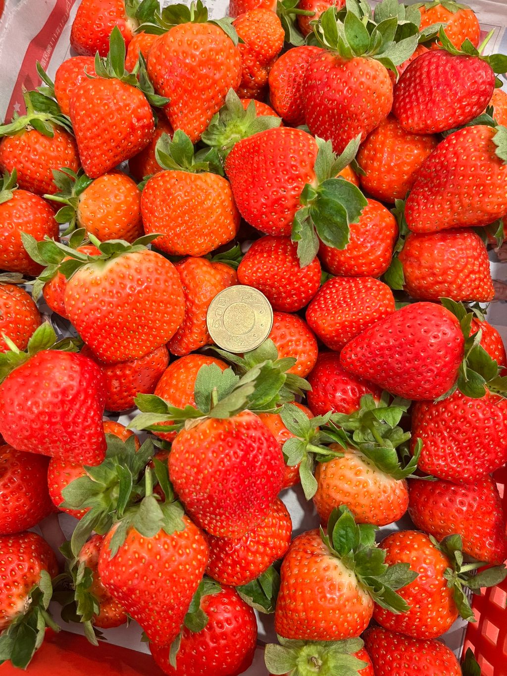 D50B7FA9-930D-4880-B139-24787BF0424E