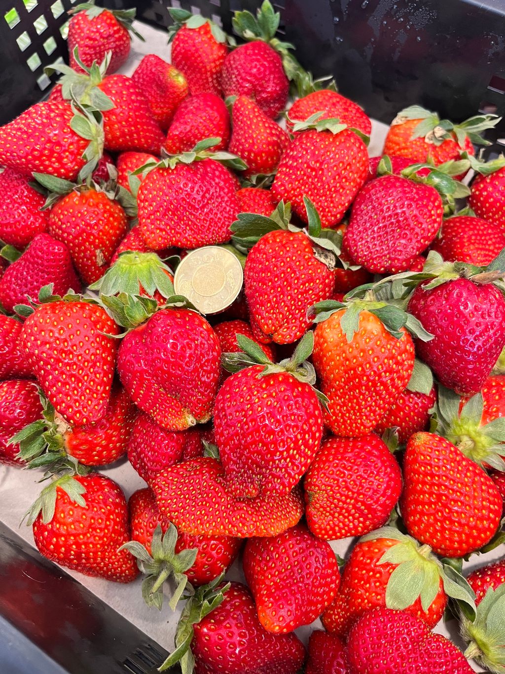 8DFFE874-D581-4122-826F-3618393327B6