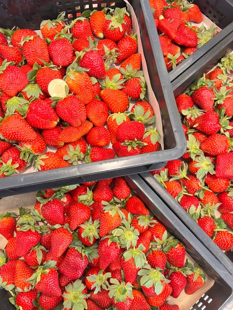 8A99FA16-03EE-4331-B495-327081CDDC6A