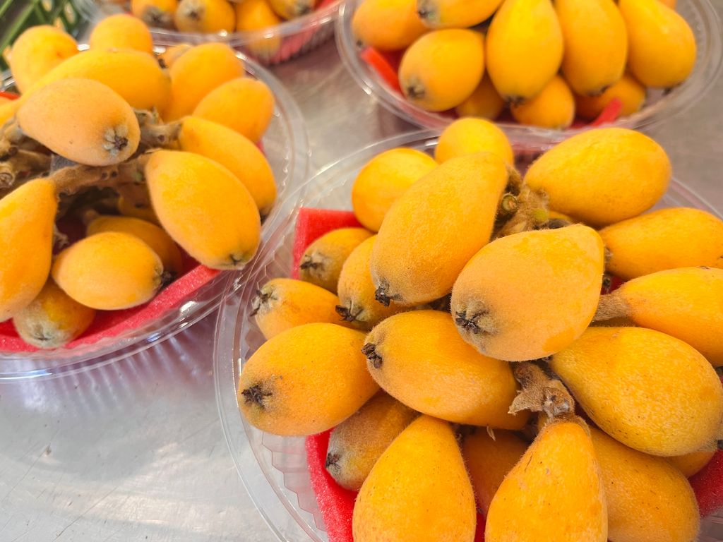 4DF59536-D353-4C76-BA66-F20502F9CCDF