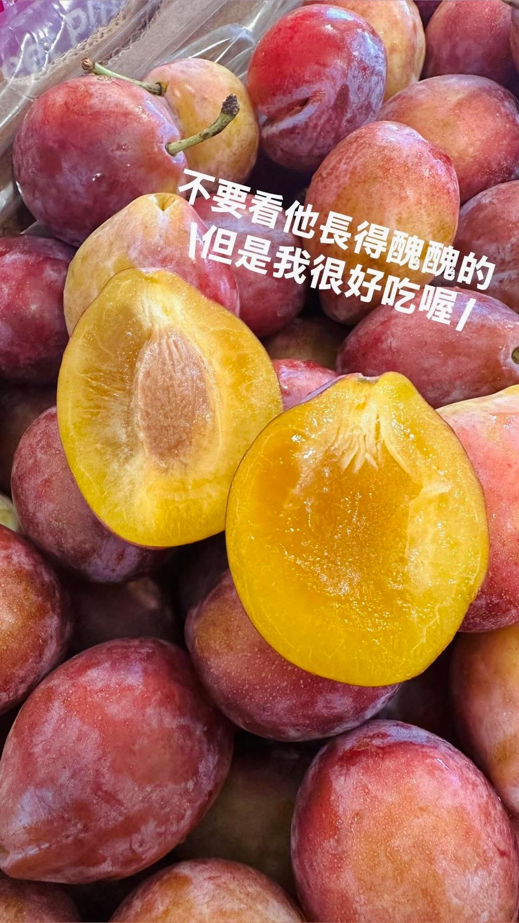 D33191A4-0D2E-41B1-B314-4330DEA4AC6E