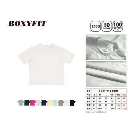 DS2網站_2026-33