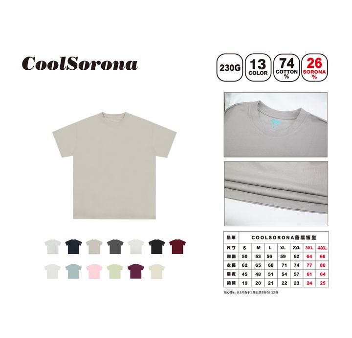 DS2網站_2026-21