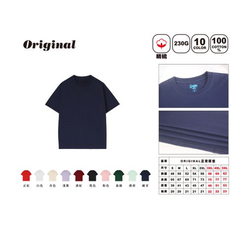 DS2網站_2025-03