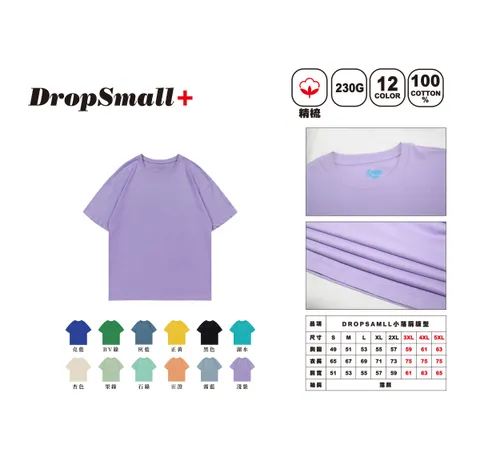 DS2網站_2025-12