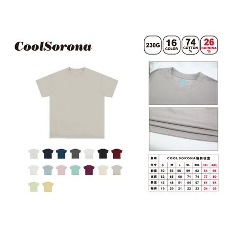 DS2網站_2025-21