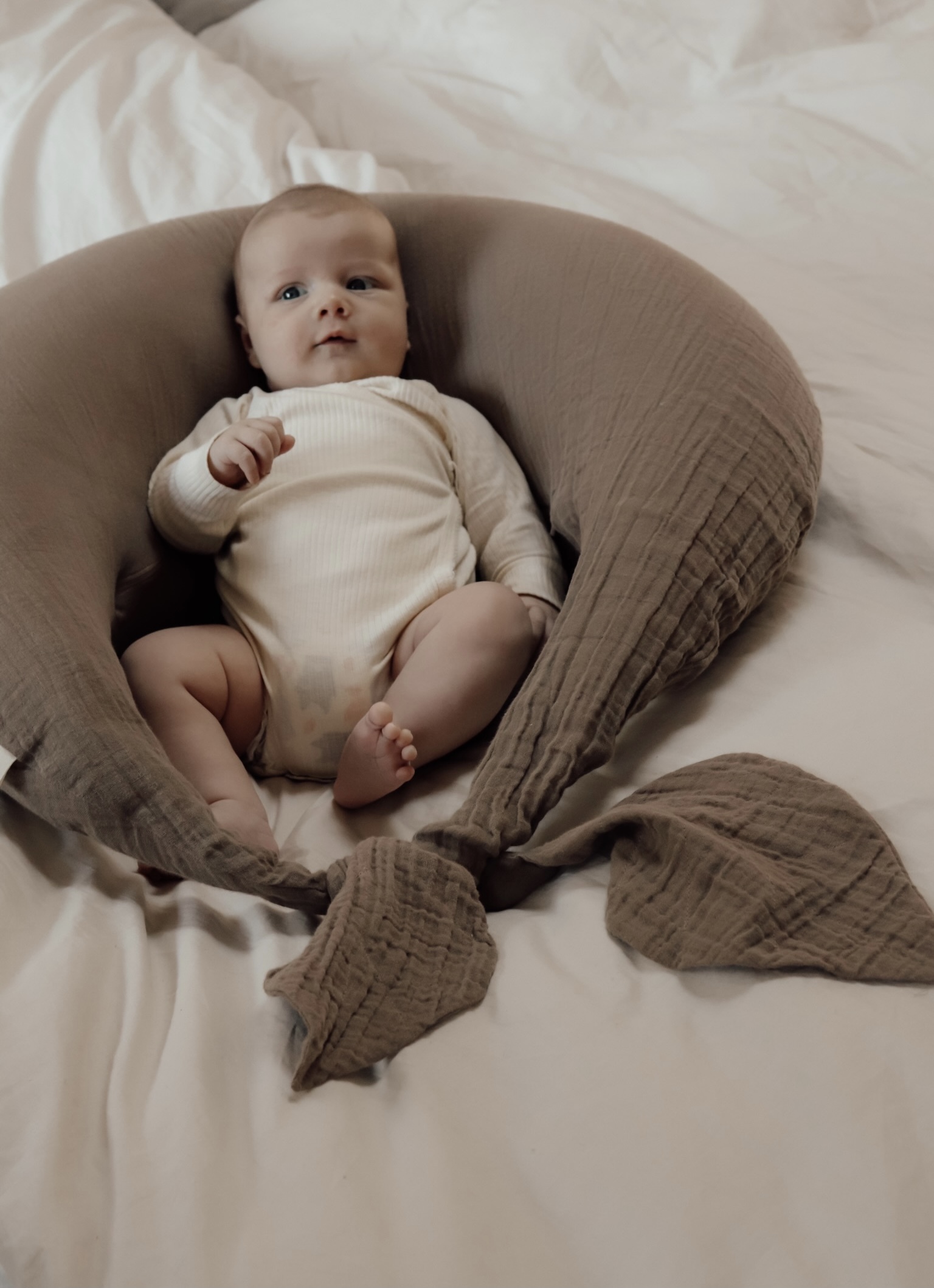 Nursing Pillow - Sea Shell – Darlingsmy