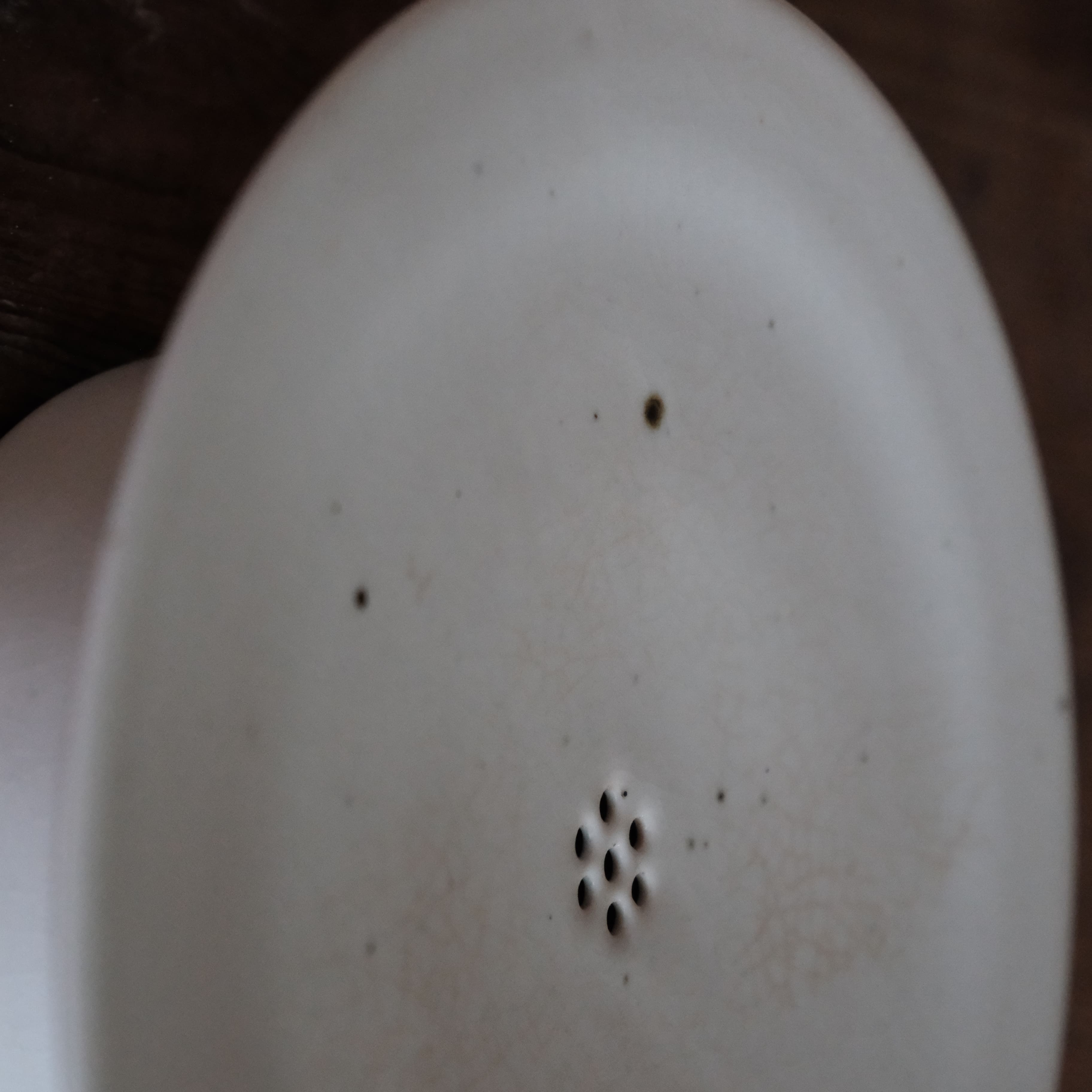 DSCF2490