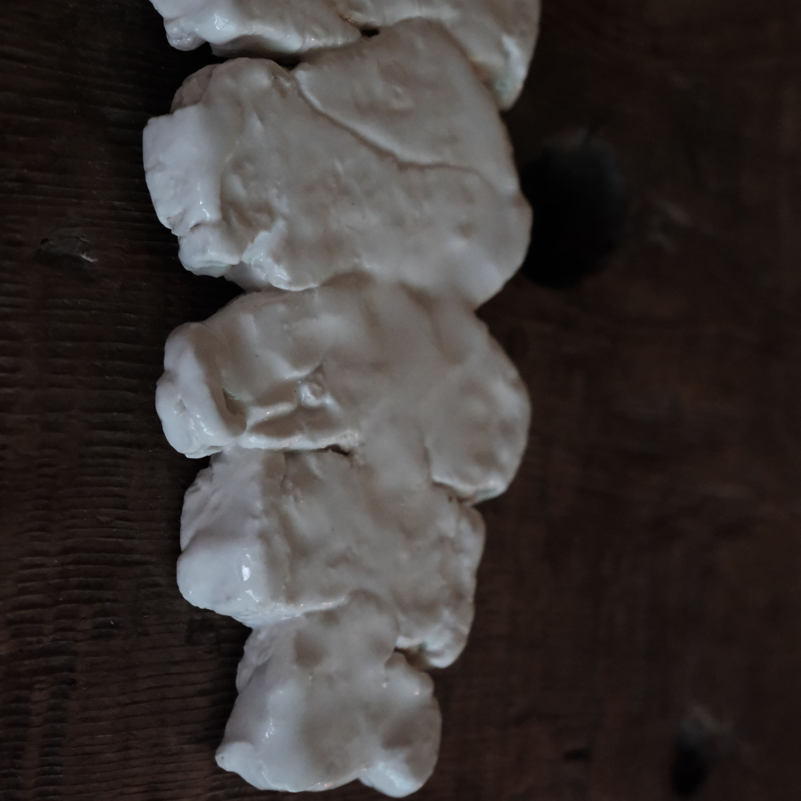 DSCF2718