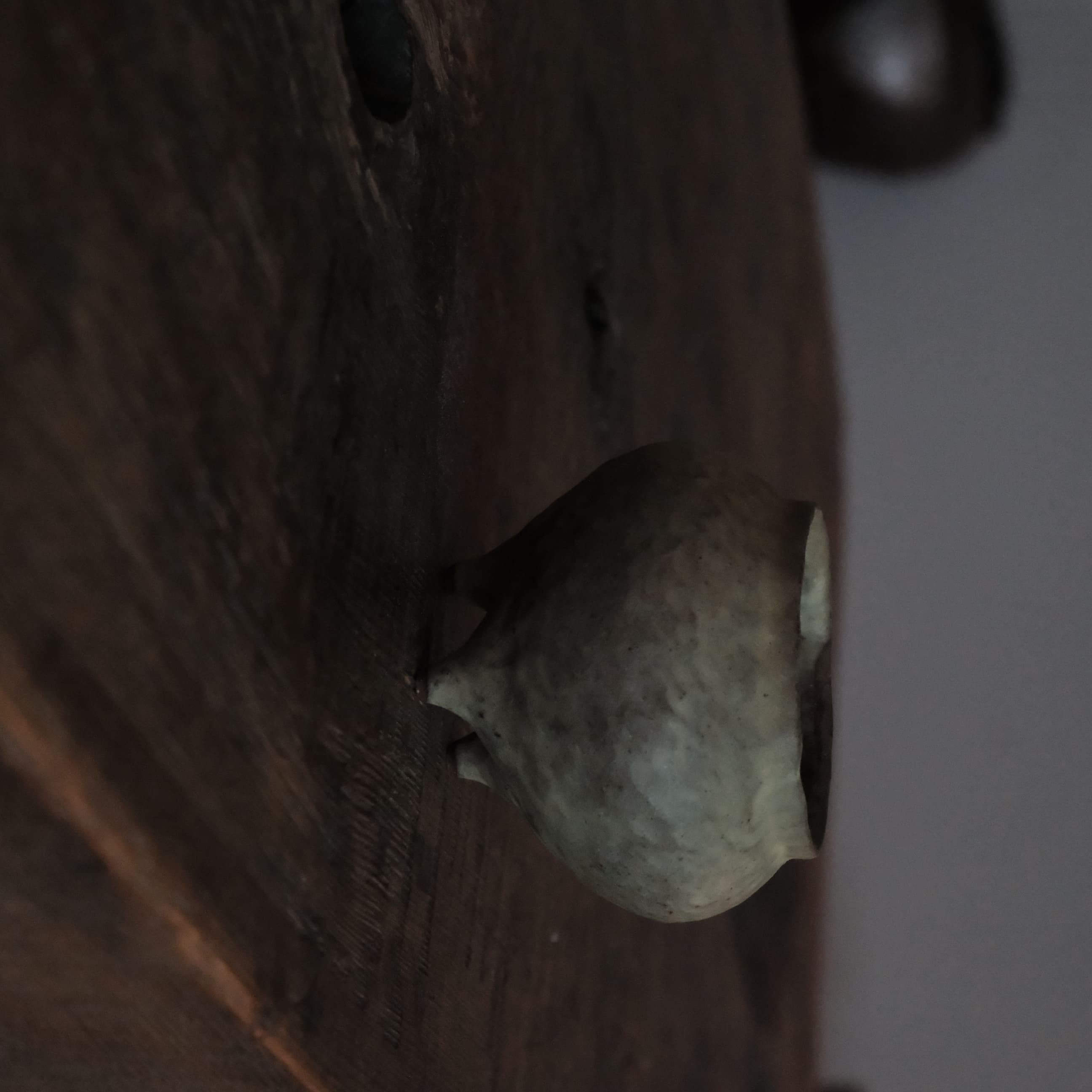 DSCF2787
