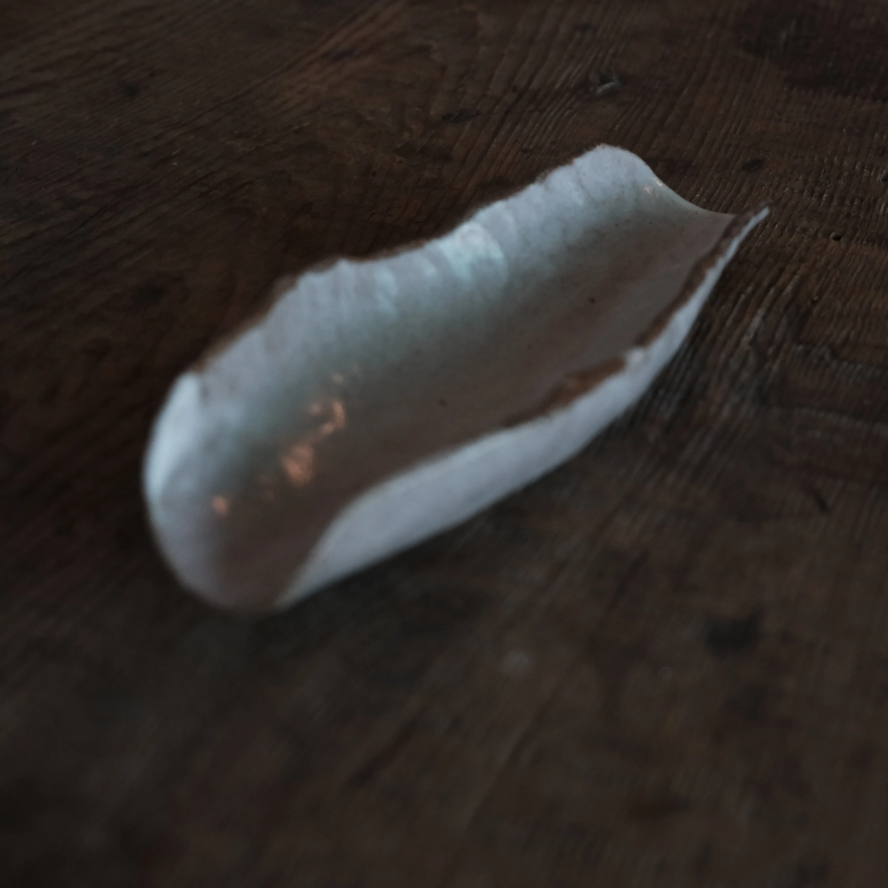 DSCF3148