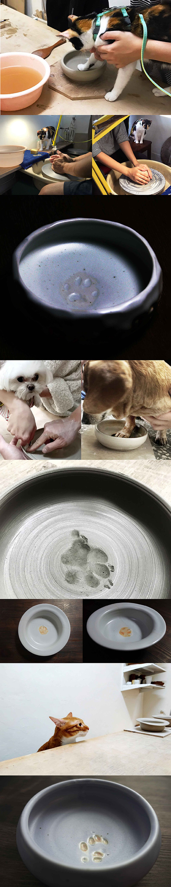 寵物陶藝課 寵物陶藝課