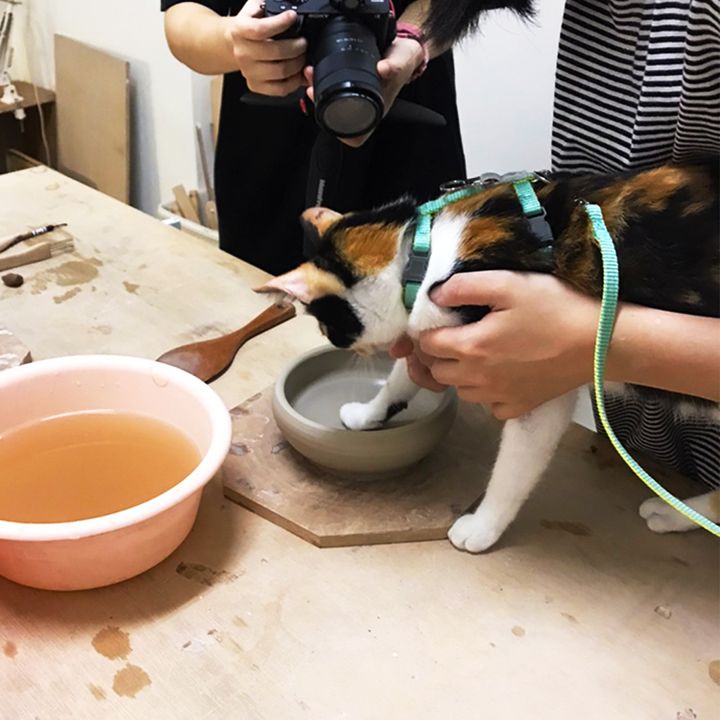 S__10870890-IG.jpg