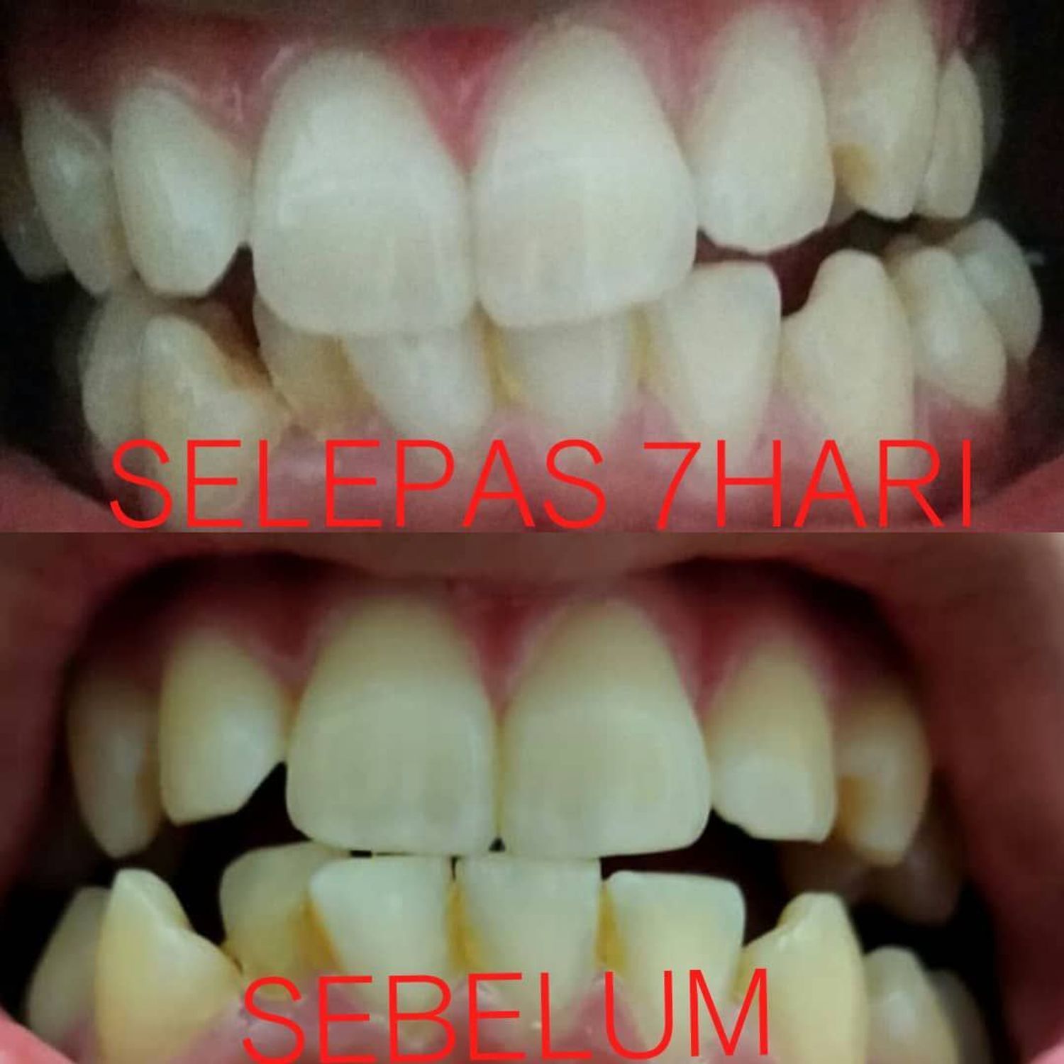 Whitekish.store - Testimoni