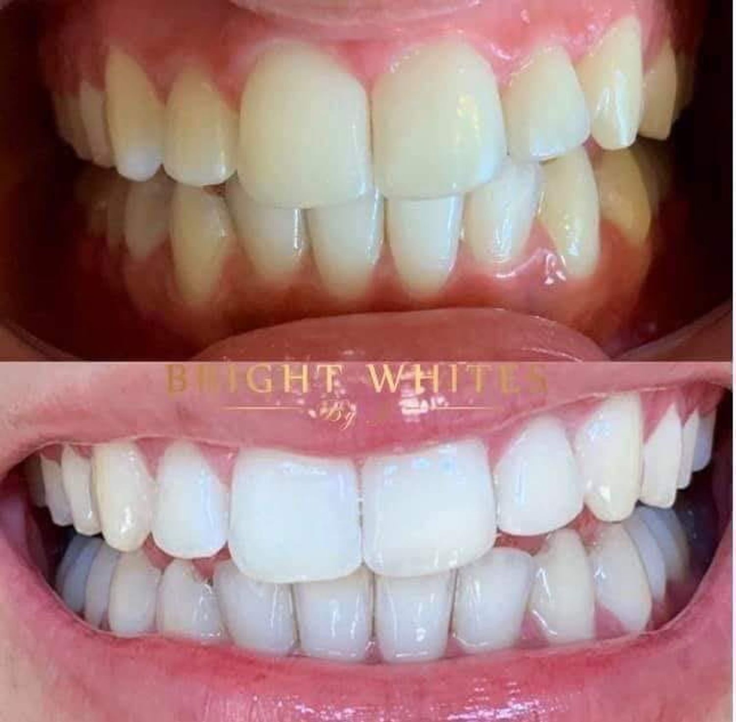 Whitekish.store - Testimoni